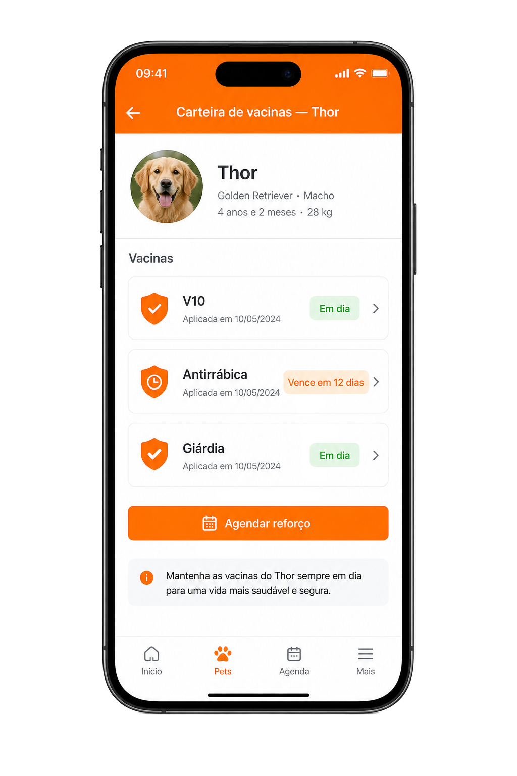 Tela do app: Carteira de vacinas